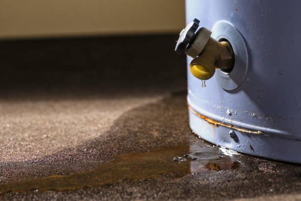 Best Water damage mitigation services  in East Northport, NY