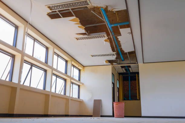 Best 24-hour water damage restoration  in East Northport, NY