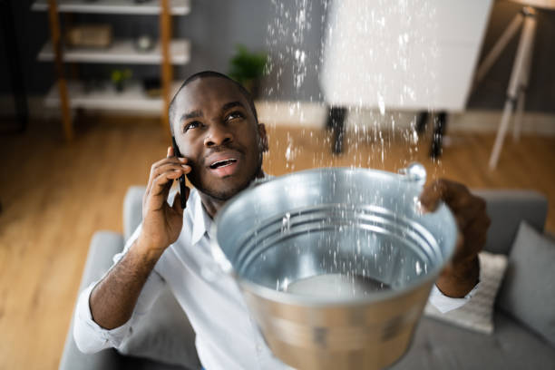 Best Residential water damage restoration  in East Northport, NY