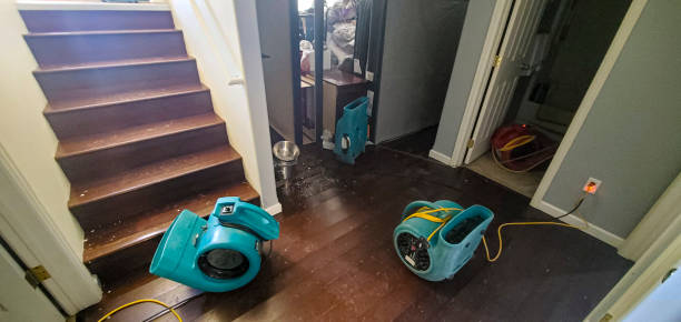 Best Water damage restoration specialists  in East Northport, NY