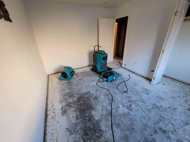 Best Emergency water extraction  in East Northport, NY