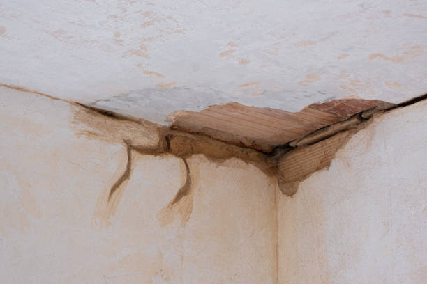 Best Flood damage cleanup  in East Northport, NY