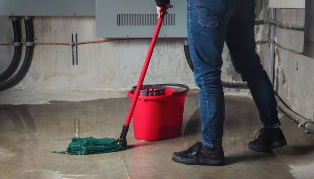 Best Ceiling water damage repair  in East Northport, NY