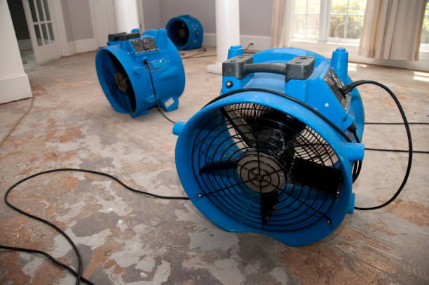 Fire Damage Restoration in East Northport, NY