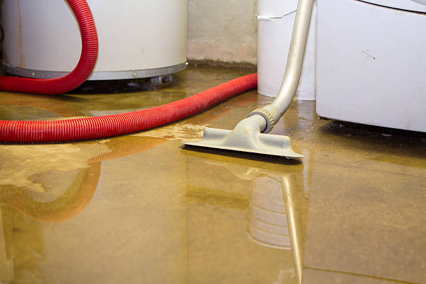 Best Emergency water extraction  in East Northport, NY