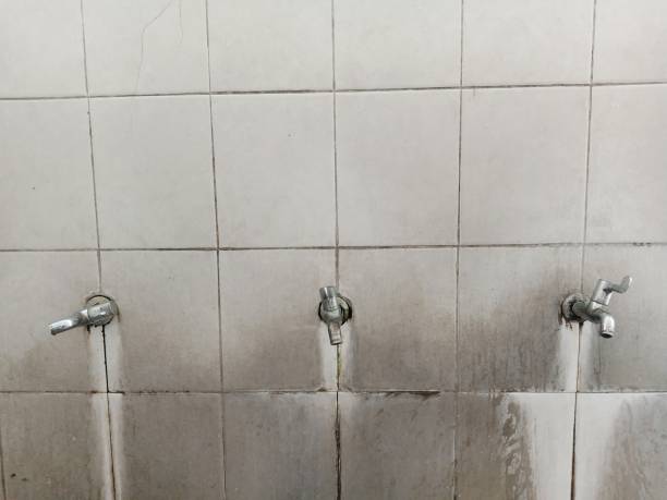 Best 24/7 water damage repair  in East Northport, NY