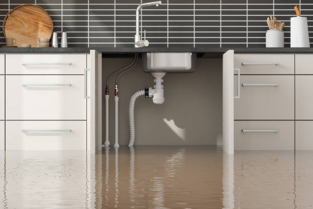 Best Fire Damage Restoration  in East Northport, NY
