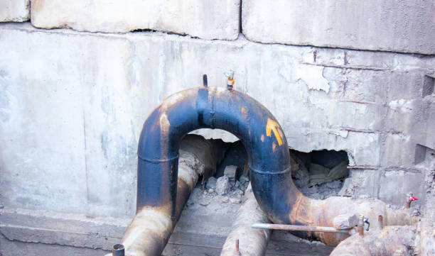 Best Local water damage restoration  in East Northport, NY