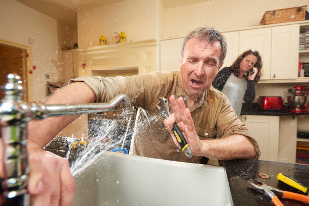 Best Flooded house restoration  in East Northport, NY